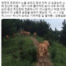 8 나는야 백신맨