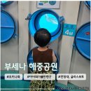 1744 | 아이랑 오키나와 중부여행 추천코스 <부세나 해중공원·글라스보트> 솔직 후기