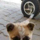 달래농장 이미지