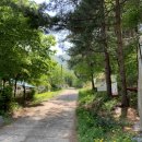 뾰루봉, 화야산, 고동산 연계산행 (2019.5.11)