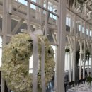 스카이팜 이미지