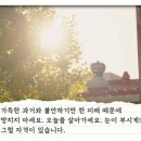 대사할머니 이미지