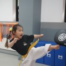 월드태권전문도장 이미지