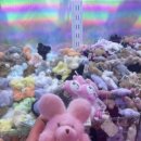 y크레인뽑기방 | 춘배덕후의 인형뽑기 이야기