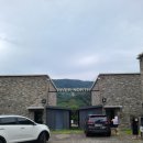 리버노스 A 이미지