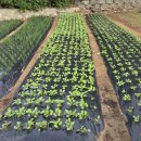 모텔청화 이미지