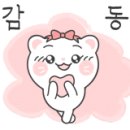 양지해물칼국수 이미지