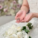 더멜로우 | [더멜로우스냅] 본식 아이폰 스냅 후기