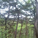 산촌옥관로 이미지