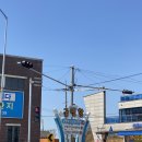 궁평항 수산물직판장 공중화장실 | 궁평항 해산물 직판장 도다리 회 포장 주말 주차장
