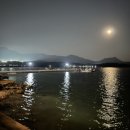 GR(고성군)-[거류로]-하-6 | 5월 이모저모 일상