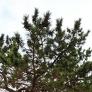 구평공원화장실 이미지