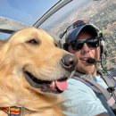 우리들의 댕댕이 이미지