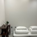 풀돌나무 이미지