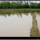 가현농장 이미지