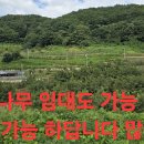 효자면 - 5349 | 효자면