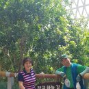 손태원농장 이미지