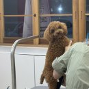 몽끄베르 이미지