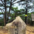 중고전문백샘영어학원 | 탐서가의 주간일기 215주차 (20260713~0719) - 생일 주간/단양 월악산 제비봉/홍성 용봉산/넷플릭스 백...