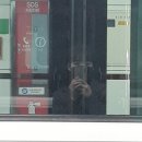 닭치고먹어라 | 스물 네번째 봄도 이렇게 흘러가는구나 ••••