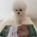 기호성 좋은 반려견 수제간식 강아지 치석제거 돼지귀 슬라이스 후기