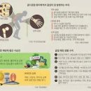 비타민 이미지