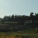 신당4로-11 | [구미/카페추천] 구미 산동맛집 우즈베이커리 별빛캠프 산동점 다녀온 후기 ☕✨