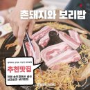 촌돼지와보리밥 이미지