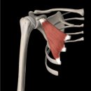 바디끄 PT 이미지