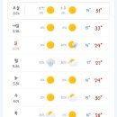 황금손세차 이미지