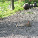 상옥농장 이미지