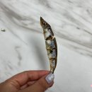 댕댕이수라상 이미지