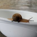 터골농장 이미지