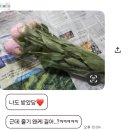 집 분위기 확 살아나는 5월의 꽃, 작약 구매 후기🌸 (+꽃말, 관리법)