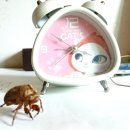 호남 현장 최고위원회의... 광주·전남 소속 국회의원들 '다 어디갔나?', 왜 참석안하나??, 사유 조사해 보고하라!!, 내란부부 윤건 이미지