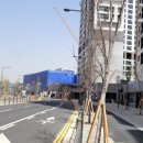 청춘1번가 이미지