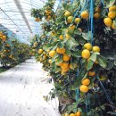 가온하우스 이미지