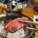 고기를굽는사람들육달 | [평택 맛집] 평택 고덕 소고기가 맛있는 육달 솔직 후기