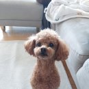 또또살롱 이미지