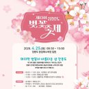 벚꽃길13 티스토리