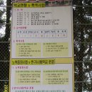 삼기중학교 Daum카페