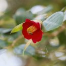 사진으로 본 새로운 세상 이미지