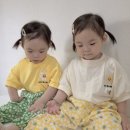 레츠비 이미지