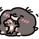 리틀스튜디오