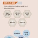 바로바디 이미지