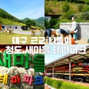 왕대포민박 | 대구 근교 나들이 청도 새마을 테마파크 체험 후기