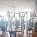 아레나휘트니스 이미지