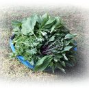 일구농장 이미지