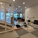 스위밍베베 이미지