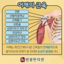 쉼한의원 이미지